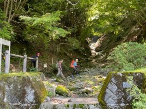 2/9 湿った登山道を登り始める